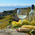 Strada dei vini dell’Alsazia e dello Champagne