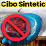 Italia vietato il cibo sintetico
