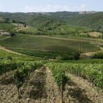 Il Borro Toscana acquisisce la Tenuta Pinino